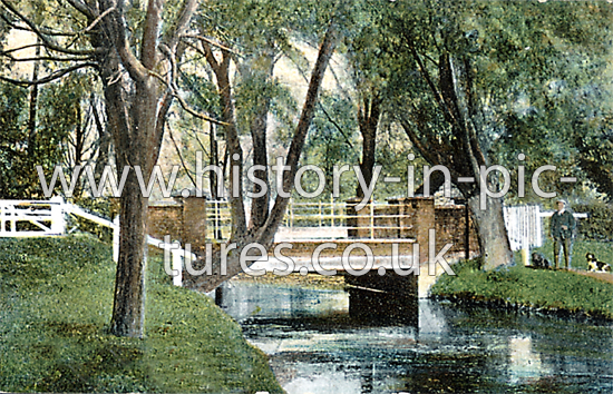 Trout Stream on the River Stort, Stansted, Essex. c.1907